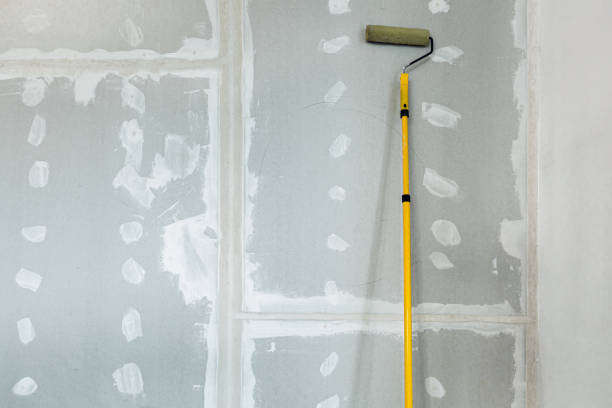 Best Environmental Consulting for Mold Prevention  in Cheviot, OH