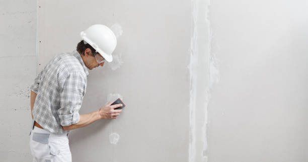 Best Post-Construction Mold Inspection  in Cheviot, OH
