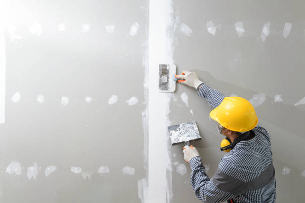 Cheviot, OH Mold Removal Company