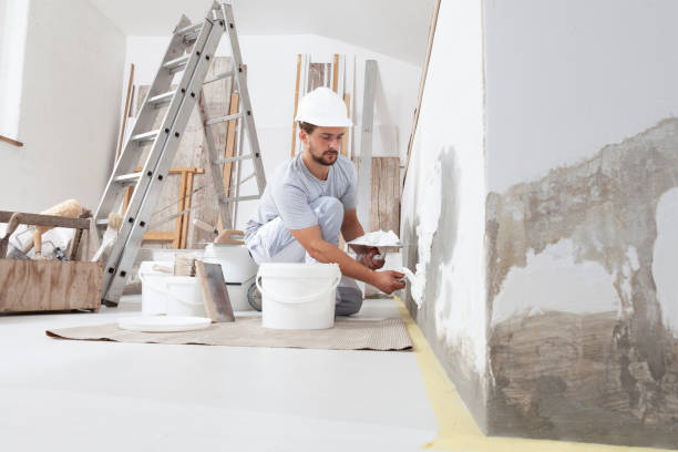Best Emergency Mold Remediation  in Cheviot, OH