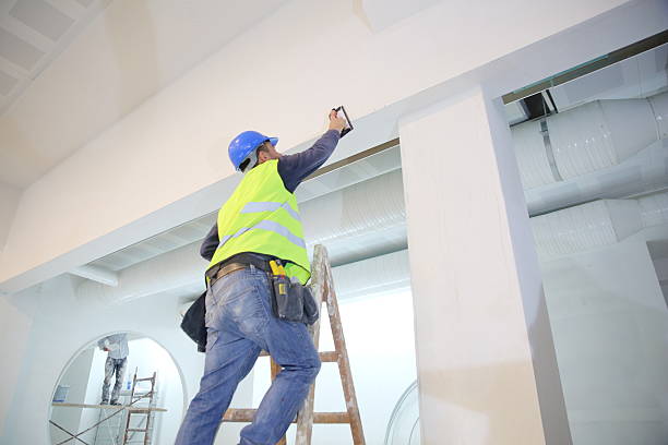 Best Mold Remediation for Healthcare Facilities  in Cheviot, OH